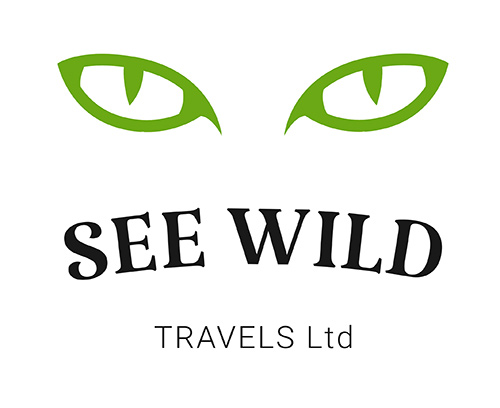 See Wild Travel