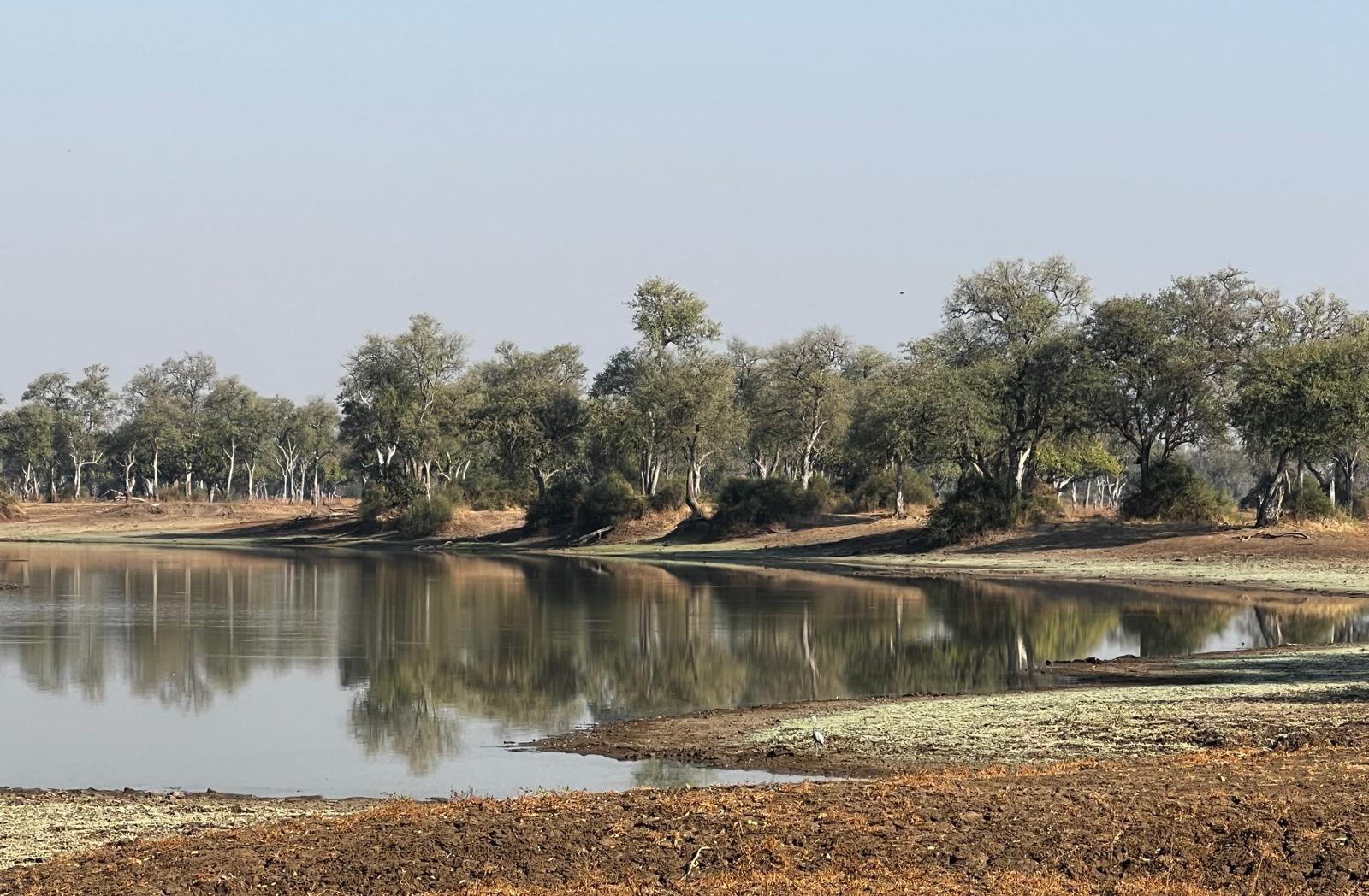 Morning Safari Drive at Zikomo Safari