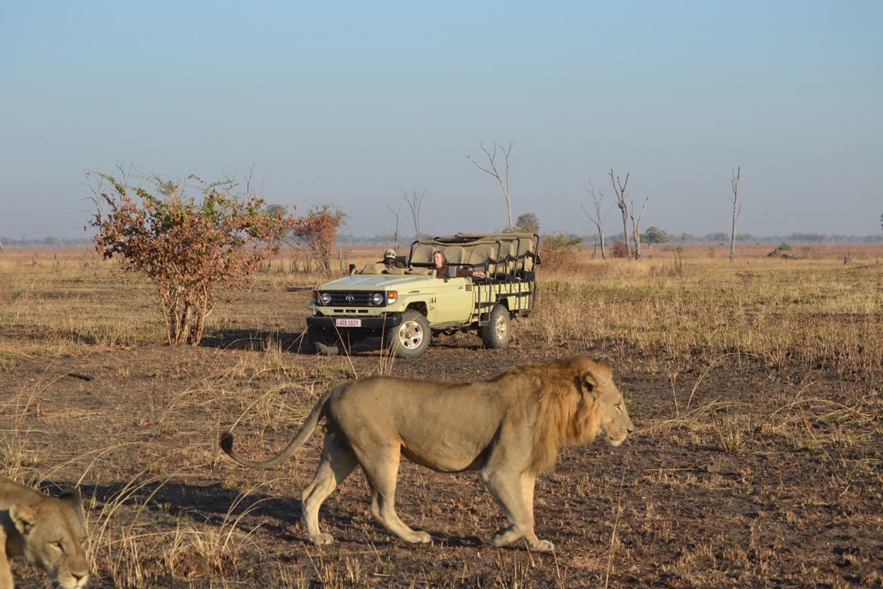 Wildlife viewing by the river