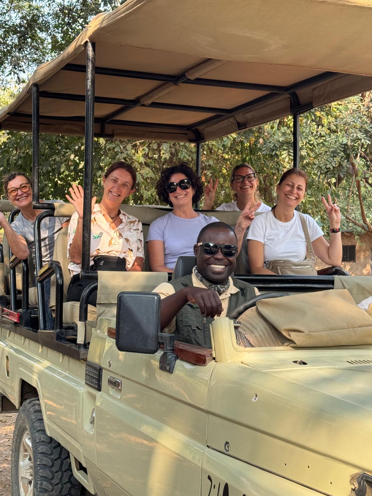 Guest safari photo - Lion pride