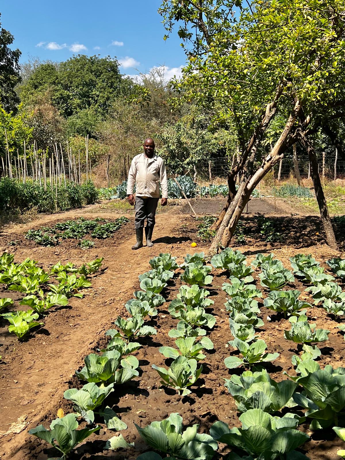 Garden to table experience